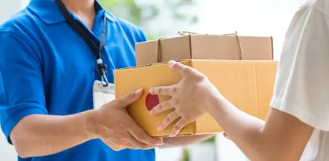 Domestic Courier Service in Durg